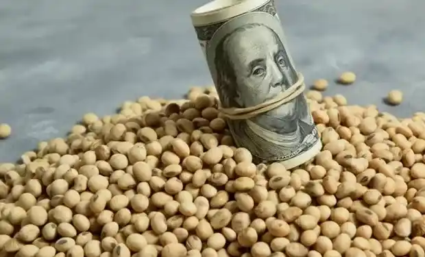 Los productores agropecuarios tranqueras adentro entre el dólar agro y el abrazo de Pino con Massa