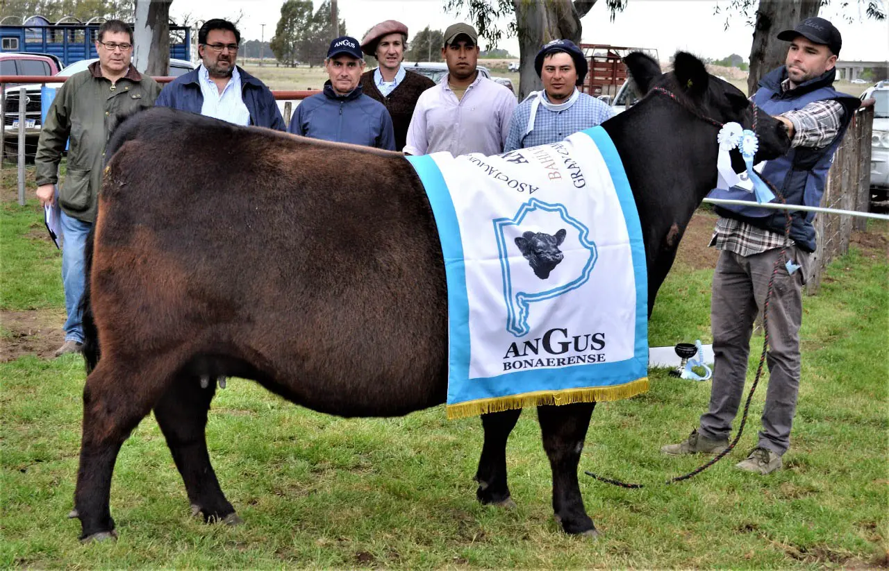 Quequén Sur y su costumbre de ganar en Villa Bordeu