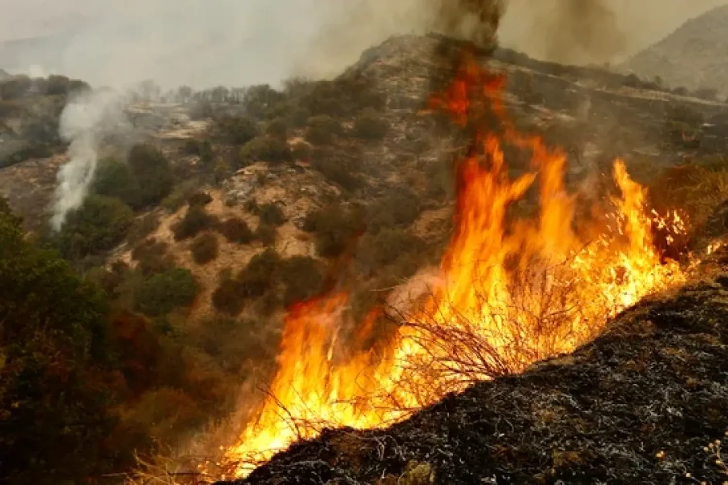 Los fenómenos climáticos serán más severos en 2025: a qué se debe y cómo tratar de revertir la situación