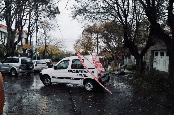 Temporal en Mar del Plata: Árboles caídos, voladura de techos y problemas eléctricos