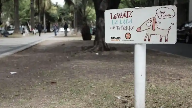 Bichos de ciudad: polémica por molestias que causan mascotas