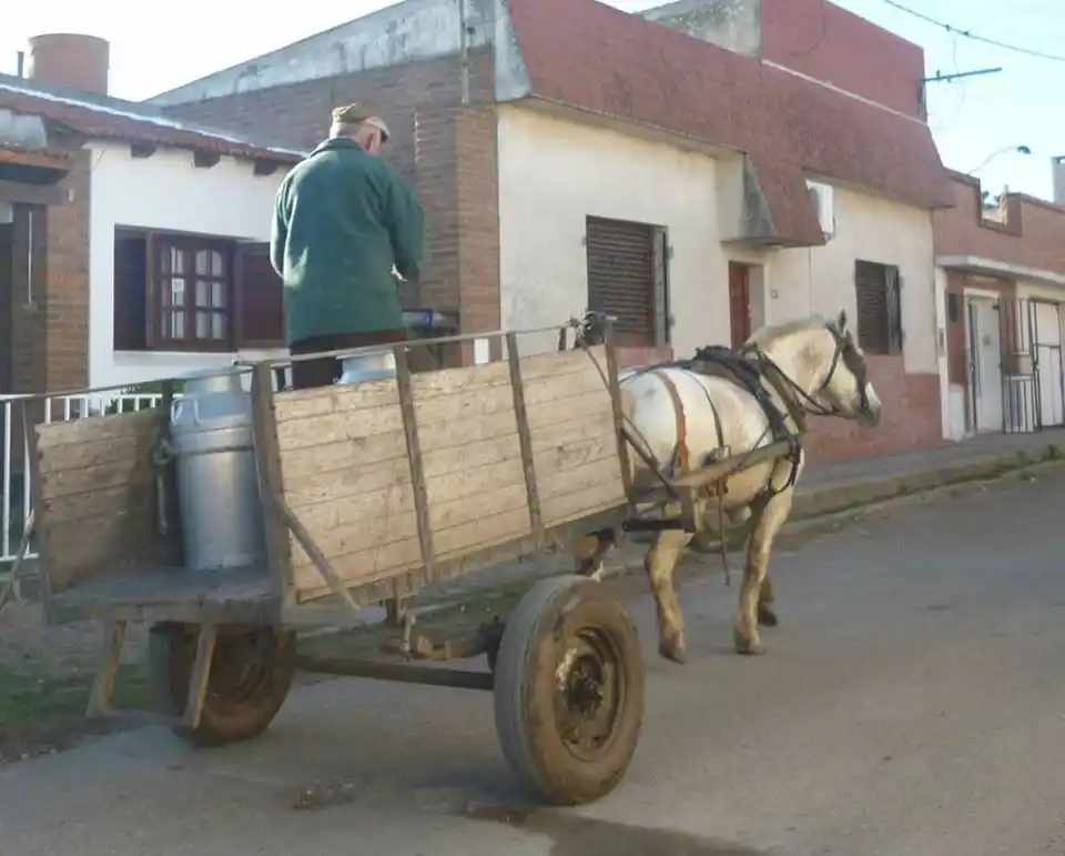 El dilema de los tambos chicos con reparto minorista