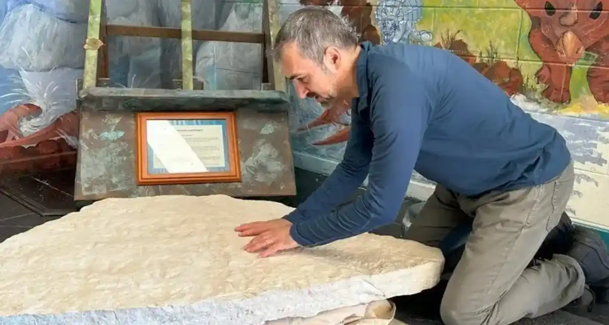 Anthony Romilio, de la Universidad de Queensland, examinando el hallazgo.