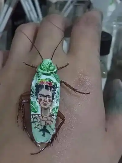 Arte cucaracha