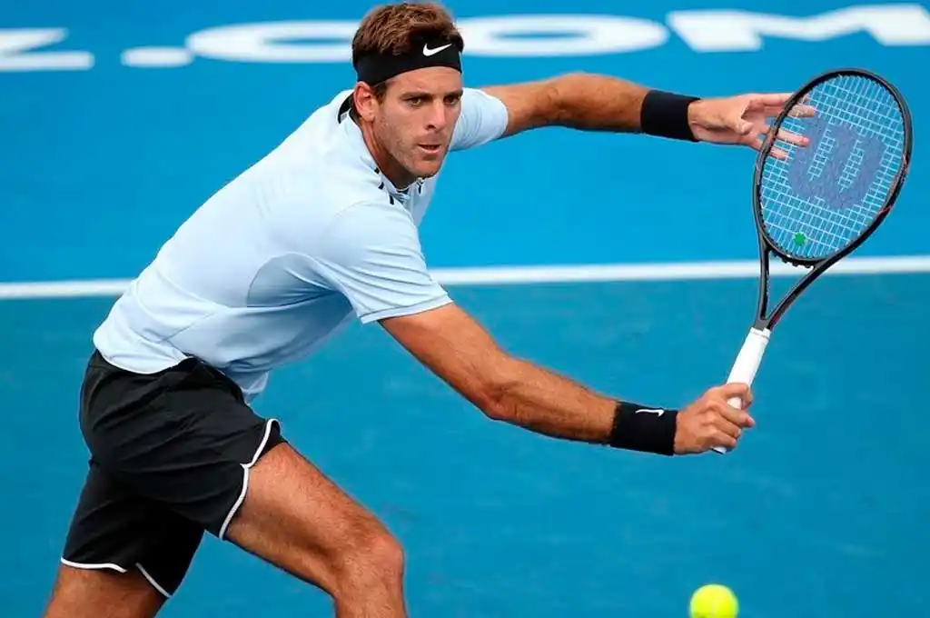Del Potro perdió la final del ATP de Auckland