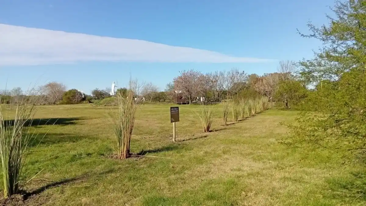 Implementan un nuevo plan de manejo de los pastizales nativos del Parque Florístico