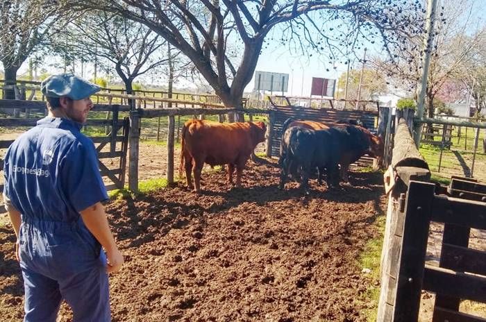 Expo Rural 2020 en Chajarí