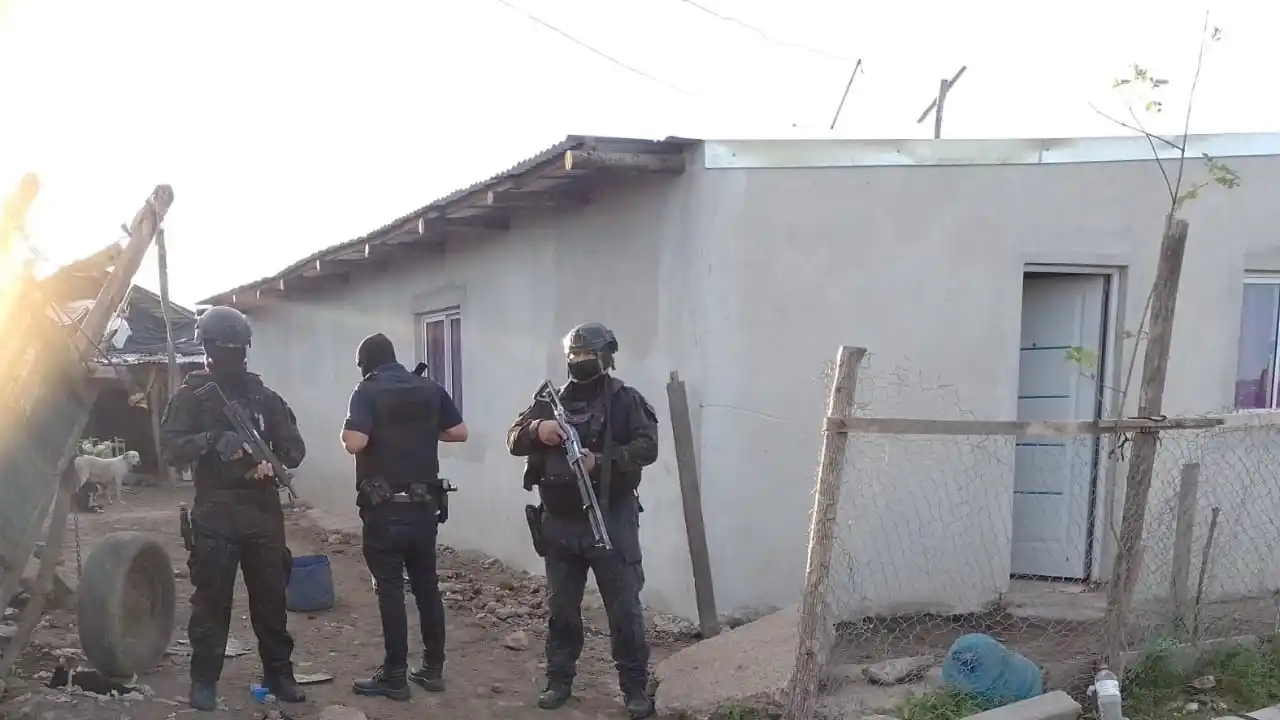 Allanamiento por narcomenudeo en la zona norte: encontraron drogas, armas, aves en extinción y dinero