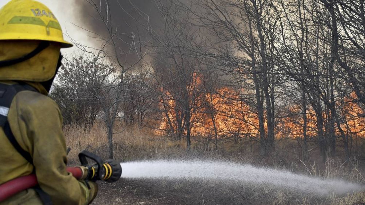 Combaten un incendio forestal a la vera de la Autopista Córdoba-Villa Carlos Paz