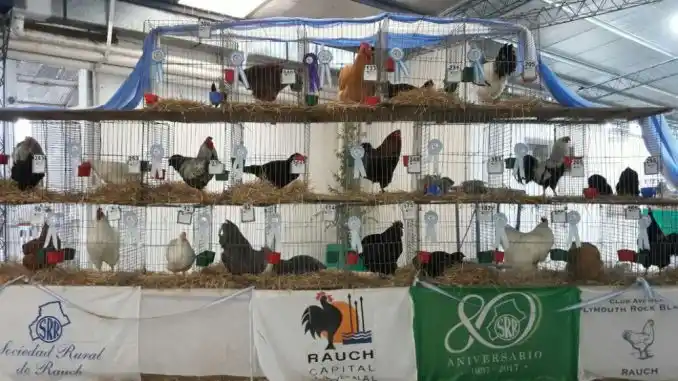 Rauch: Tras la suspensión, vuelve la Fiesta Nacional del Ave de Raza