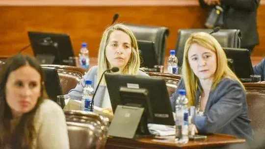 Stratta puso el foco en los datos de los entrerrianos: “Modernizar no puede significar resignar soberanía”