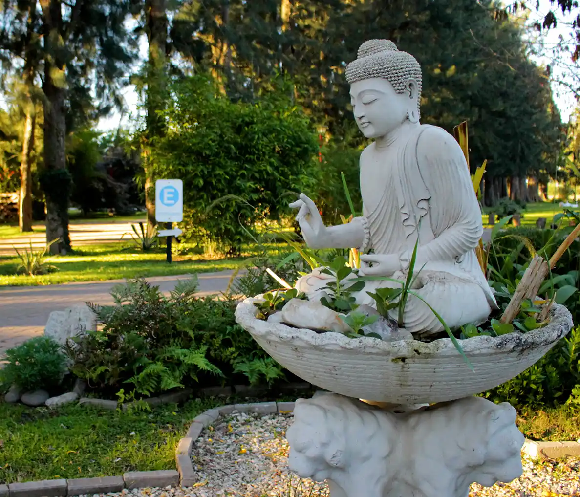 En Chascomús, se propone vivir una experiencia de bienestar en La Grulla, un complejo de cabañas rodeadas de árboles, aves y animales de granja.