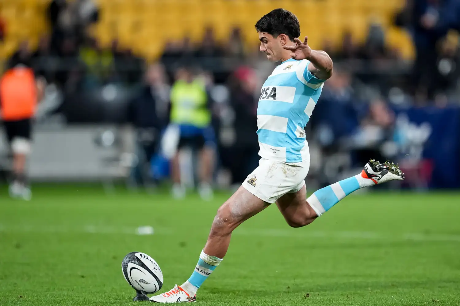 los pumas