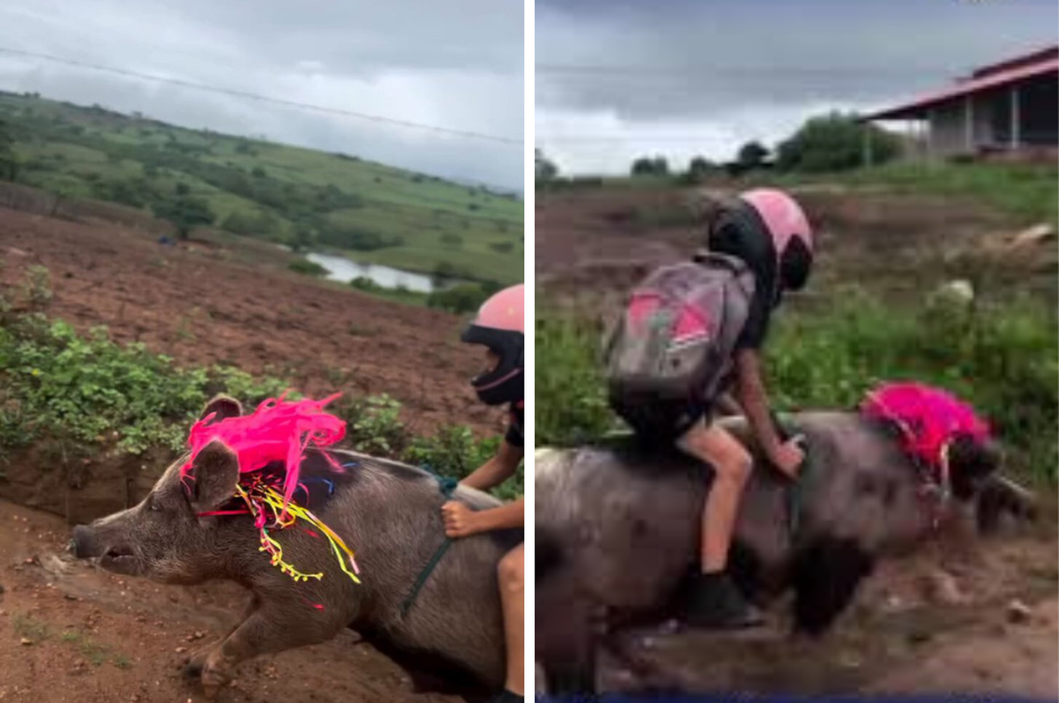 Captura de video