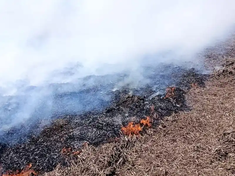 Incendio en la zona rural.