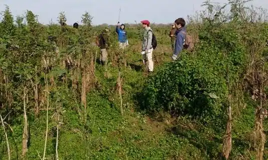 Diagnóstico del pastizal natural en islas del Departamento Diamante