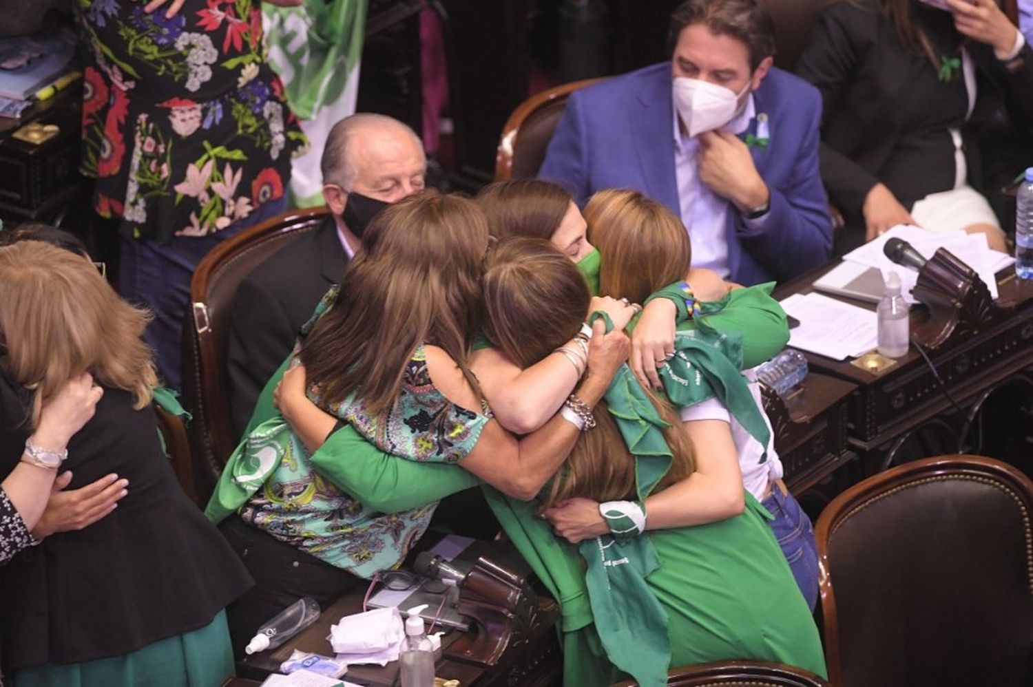 pemstrongDiputadas celebraron la media sanción del proyecto de IVE/strong/em/p