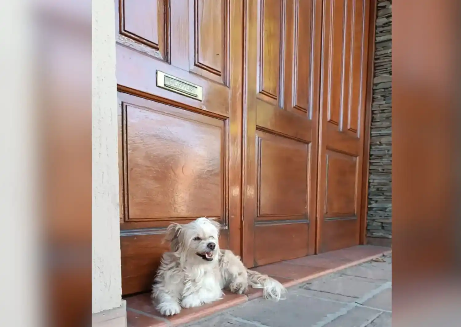 Solucionado: Buscan a Lola