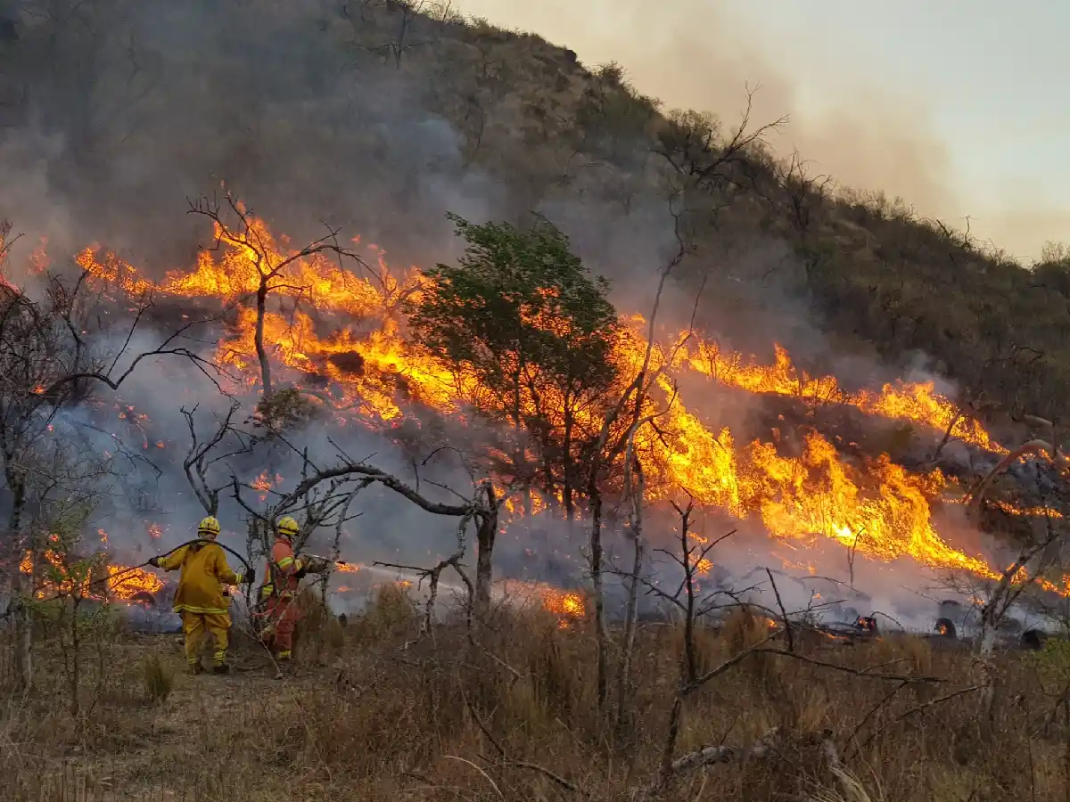 Detienen a dos personas en Córdoba acusadas de haber causado incendios forestales