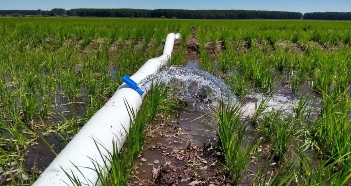 Cambio de chip. Según Carsfe es hora de integrar la producción, el ambiente y el agua.