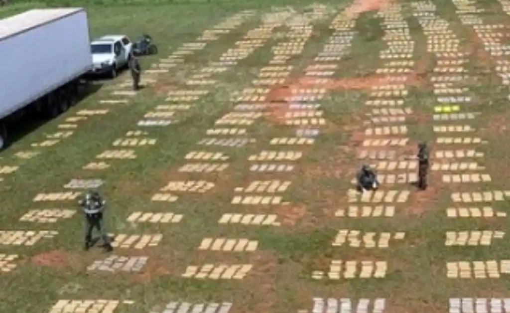 Secuestran más de 9 toneladas de marihuana en un camión que llevaba pollos