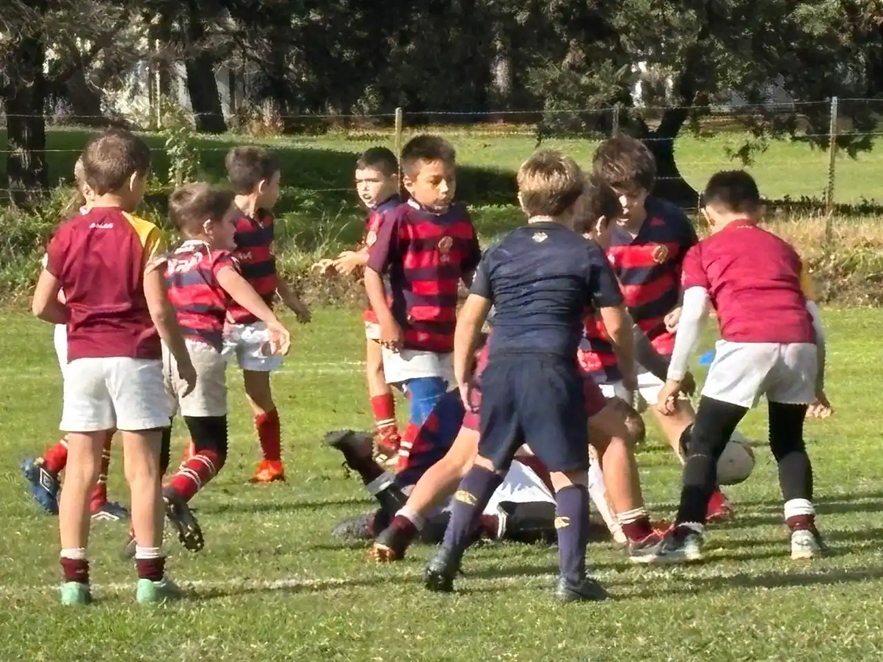 Rugby infantil - 1