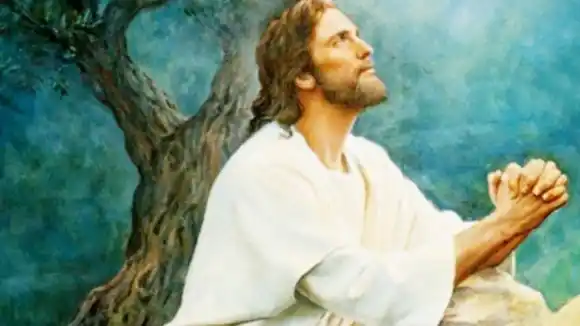 Cardenal  Rossi: “En un mundo que idolatra la violencia, ser manso es un acto de valentía”