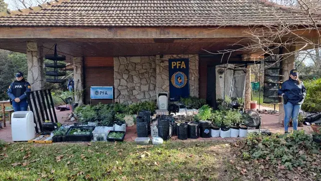 La Policía Federal allanó dos viviendas en Funes y Roldán dedicadas a la producción de marihuana