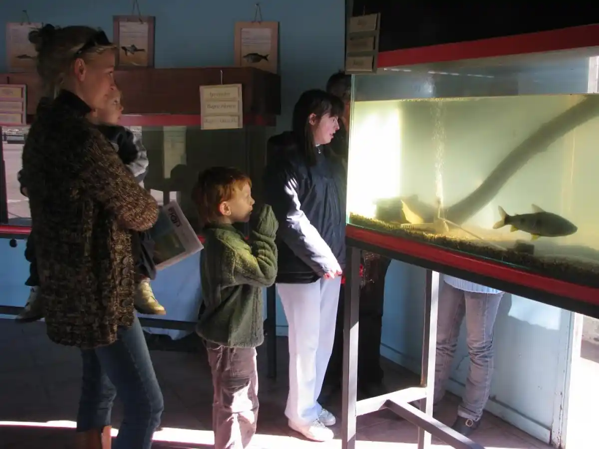 El acuario reabrirá sus puertas los fines de semana 