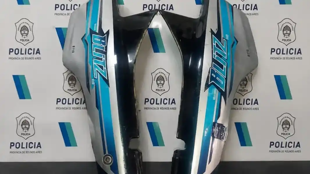 Los elementos recuperados