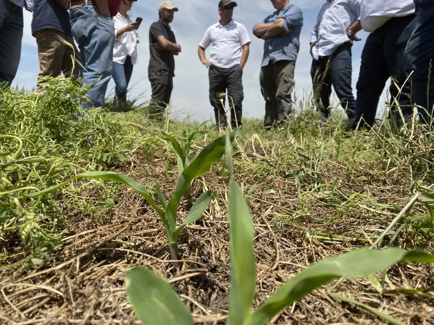 Rotaciones de precisión, lo que pide un escenario incierto