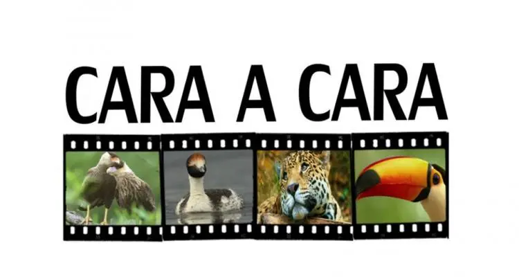 Comienza hoy el ciclo de documentales en el Museo Paleontológico