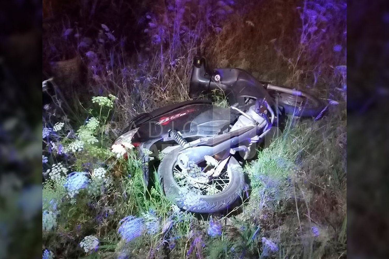 Buscaba sus caballos y se encontró con una moto abandonada