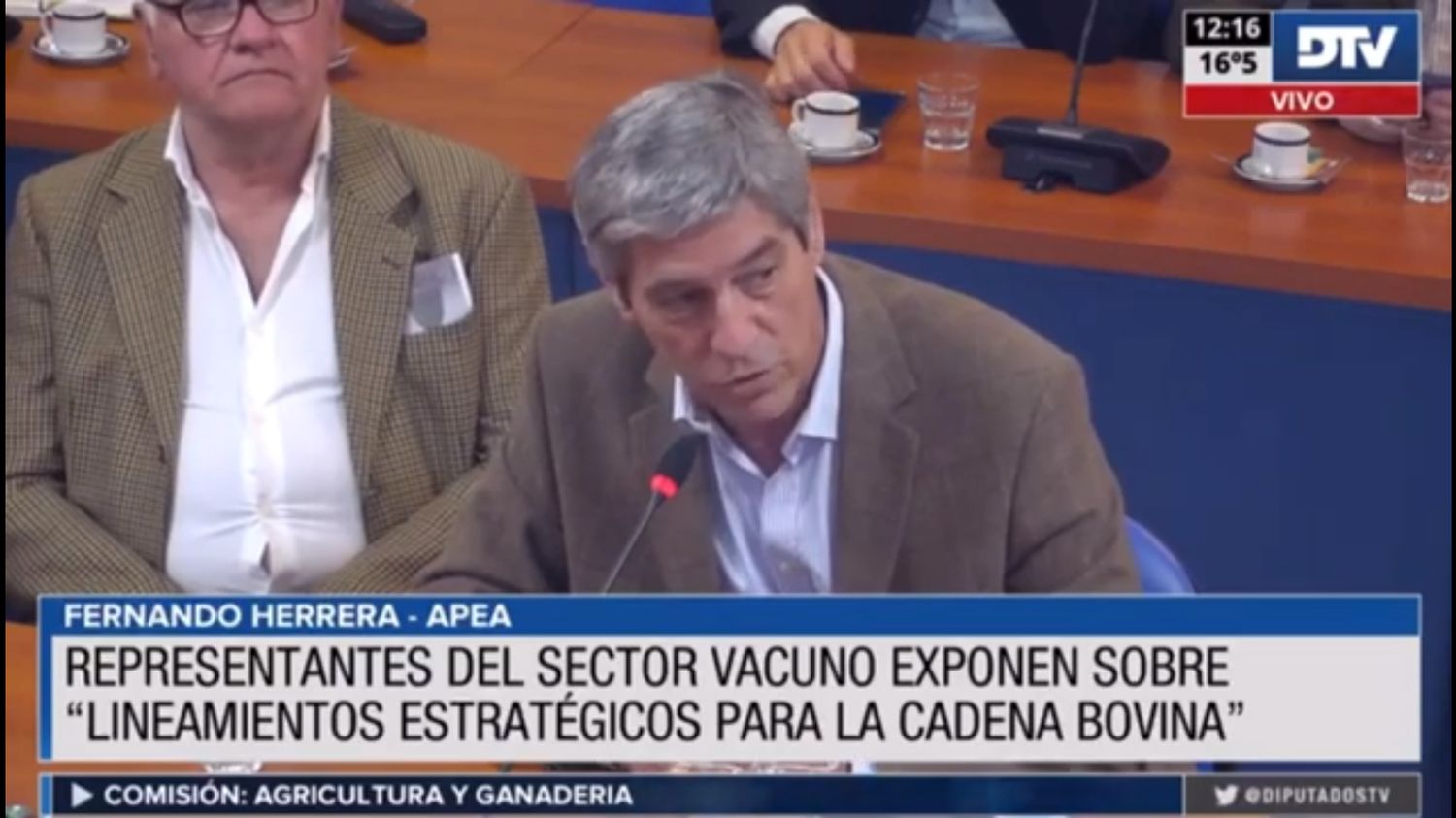 CADENA BOVINA: EXPERTOS EXPUSIERON LOS LINEAMIENTOS ESTRATÉGICOS DEL PROYECTO