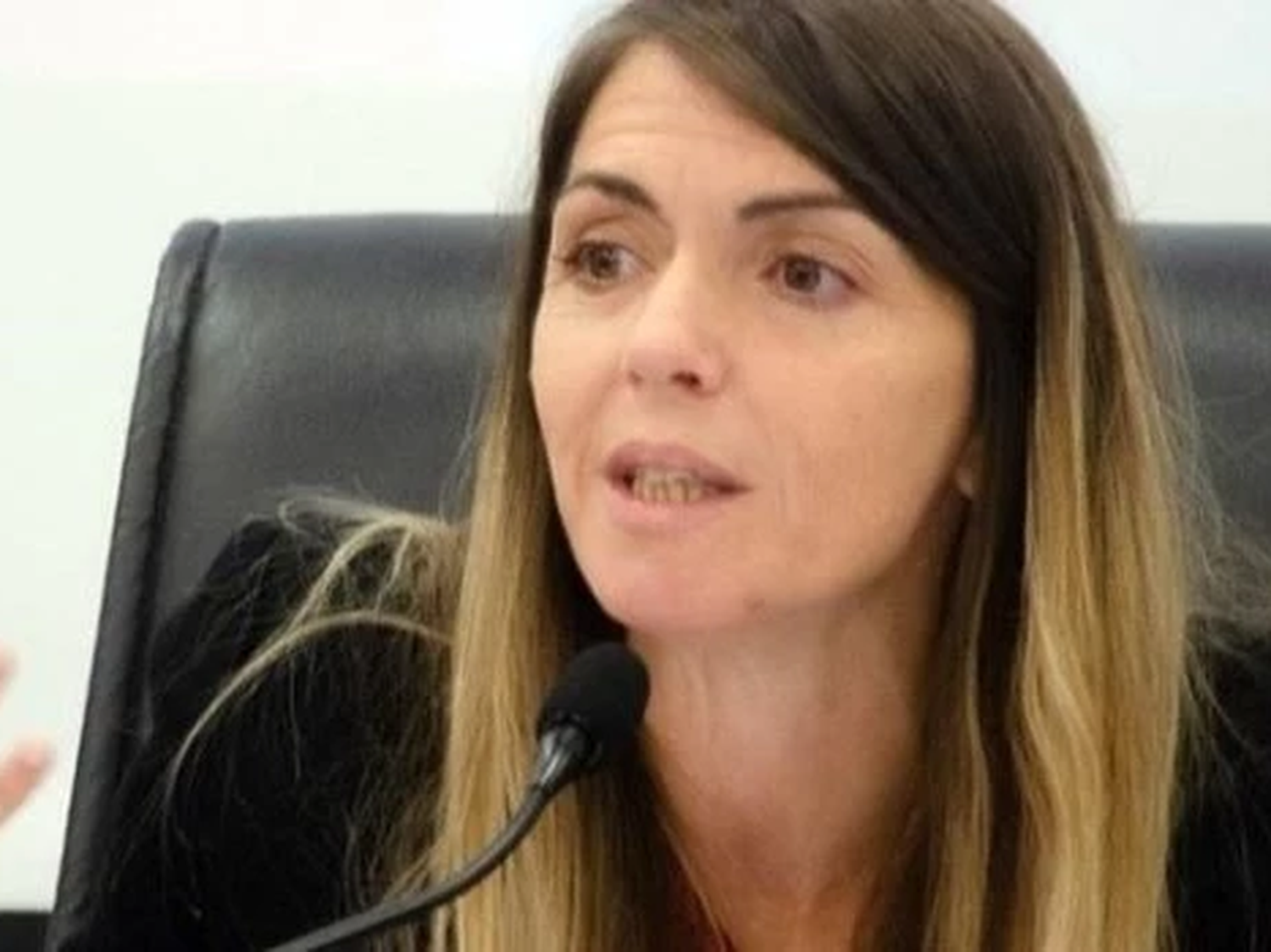 El Gobierno denunciará a la jueza Karina Andrade por liberar a los detenidos durante la marcha