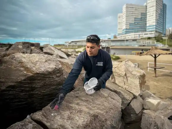 El Municipio realizó casi 300 operativos de desratización entre enero y marzo