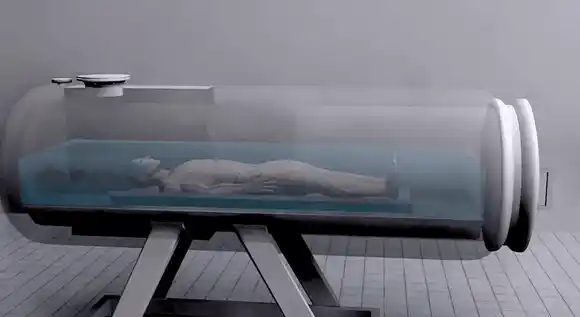 Conozcan la AQUAMACIÓN; olvídense de cremaciones y entierros