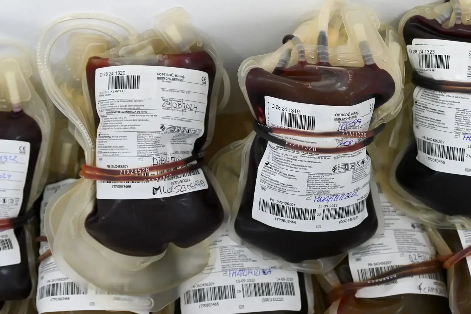 donar sangre - 3