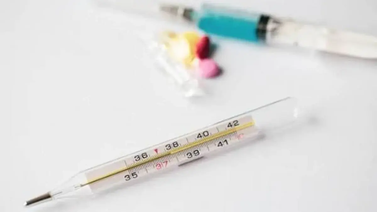 Fiebre hemorrágica argentina: Santa Fe registra nueve de los 22 casos confirmados en 2026