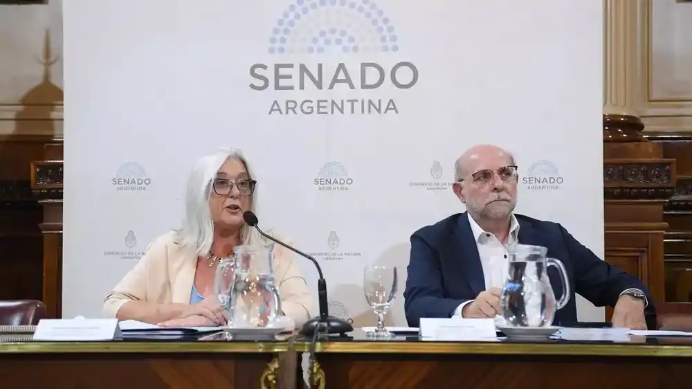 El Senado dio dictamen a la reforma de la Ley de Glaciares y el proyecto de Inocencia Fiscal
