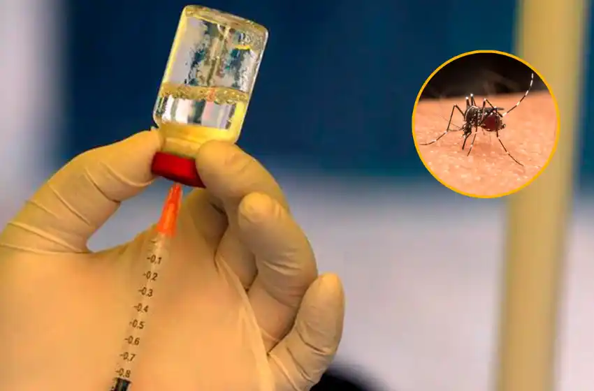 Vacuna contra el dengue: «No hay disenso técnico, lo que falta es una decisión política»