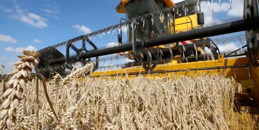 Contrapunto entre el gobierno y los productores agrícolas por el costo de los impuestos y el precio de las semillas.