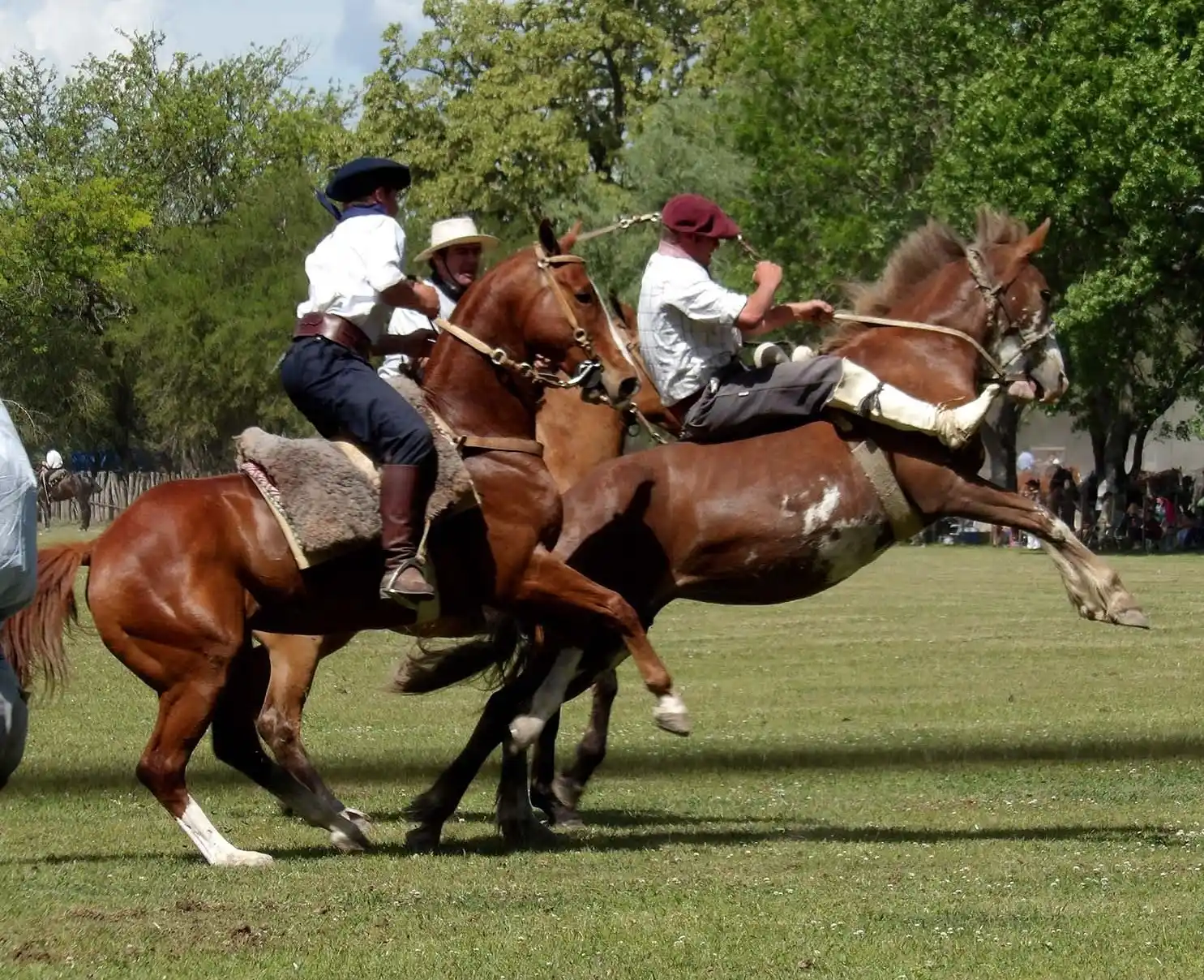Jornada de destreza criolla