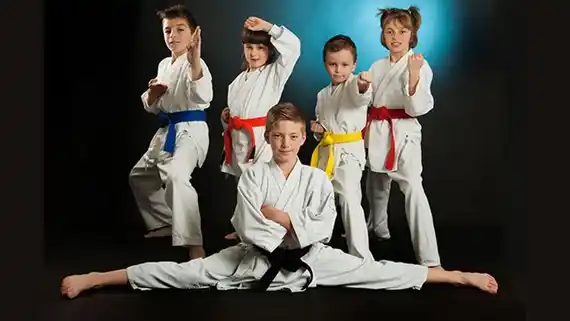 La ciencia confirma que las artes marciales son cosa de listos.