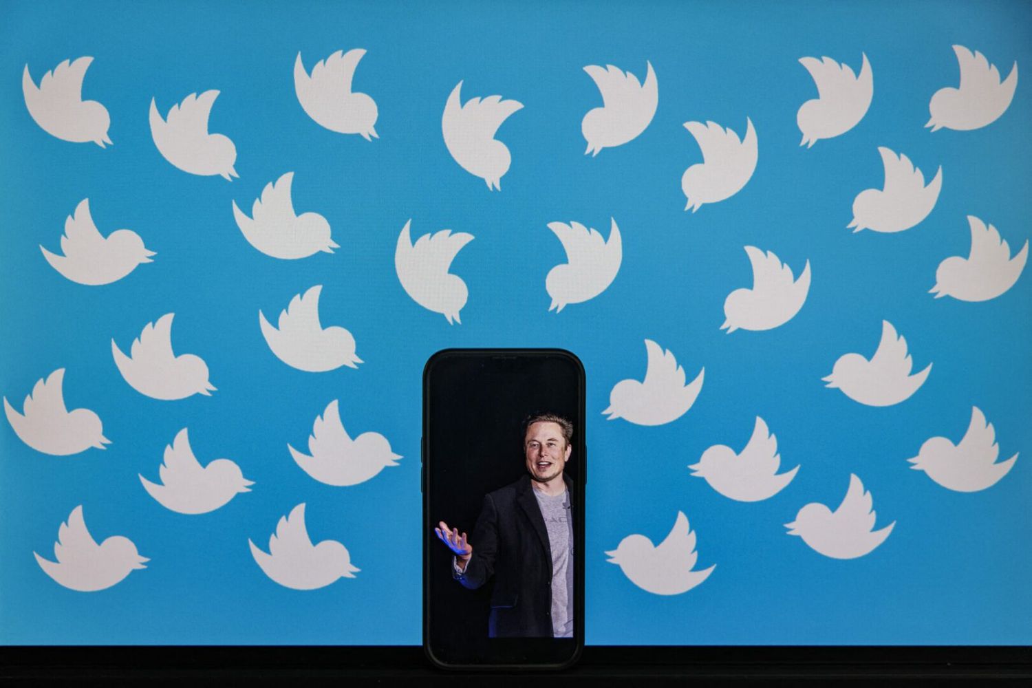¡LO VOLVIÓ A HACER! ELON MUSK suspende otra cuenta de periodista en Twitter
