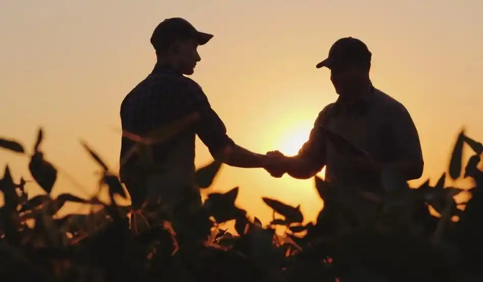 Ley de Bases: el campo impulsa cambios en el trabajo rural
