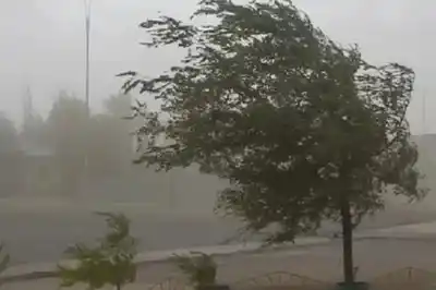 Patagonia: violentas ráfagas de viento de hasta 350 km/h paralizan ciudades