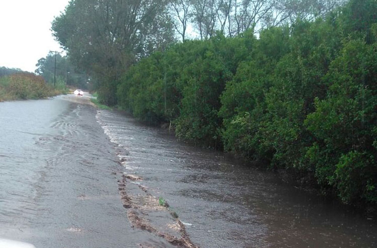 "Una máquina no alcanza para cubrir todos los caminos rurales destruidos"