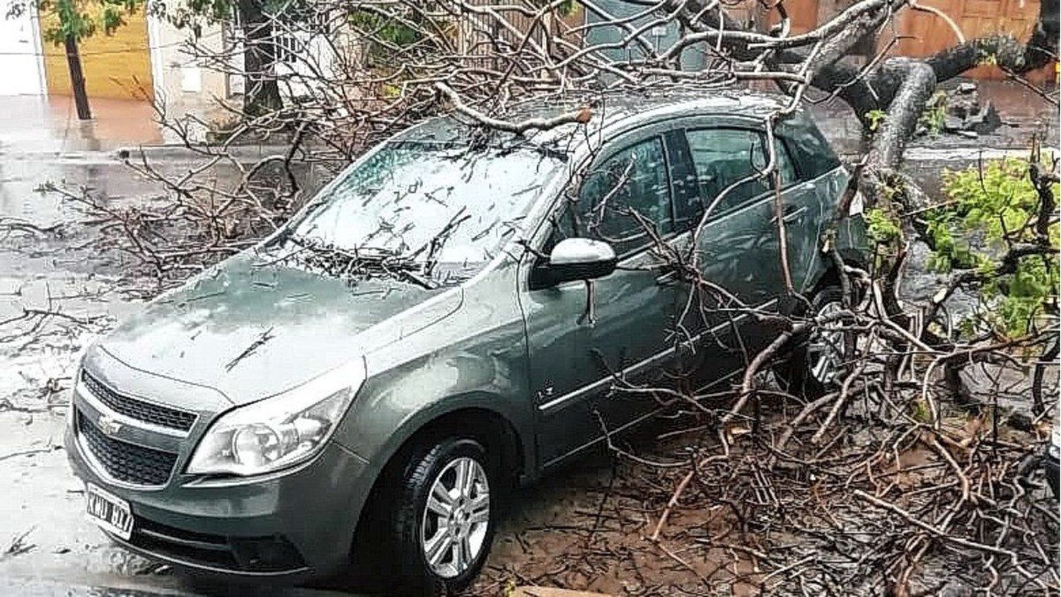 Temporal: Victoria y Gualeguay fueron los más afectados