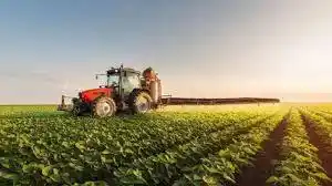 El agro entre los sectores que menor impacto económico sufren por la pandemia

